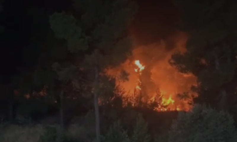 שריפת ענק ביער ביריה, בקצרין הושגה שליטה על האש