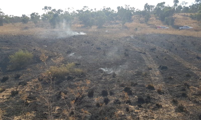 טרור הבלונים: אלפי דונמים של שמורת טבע נשרפו