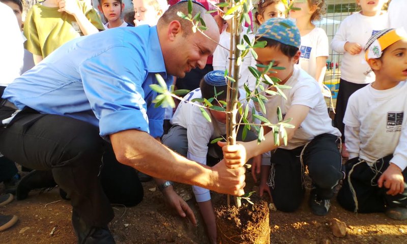 בנט בהר חברון: אנחנו נוטעים עצים בשביל להישאר פה לנצח