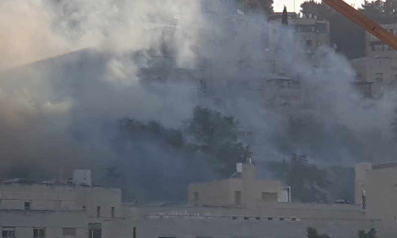 שריפה ליד מכון לב: מטוסי כיבוי&nbsp;באוויר