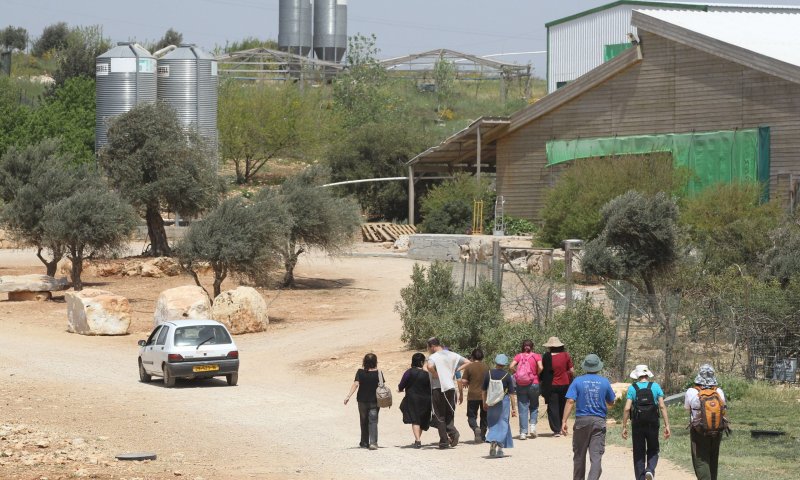 זה הזמן שלכם לתת גב לגבעות