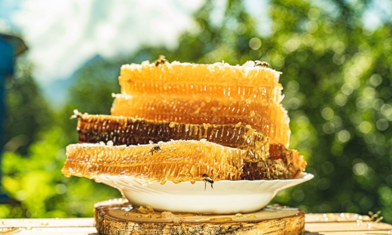 "הנשף של מגדלת הדבורים": היסטוריה, אסקפיזם והרבה דבש