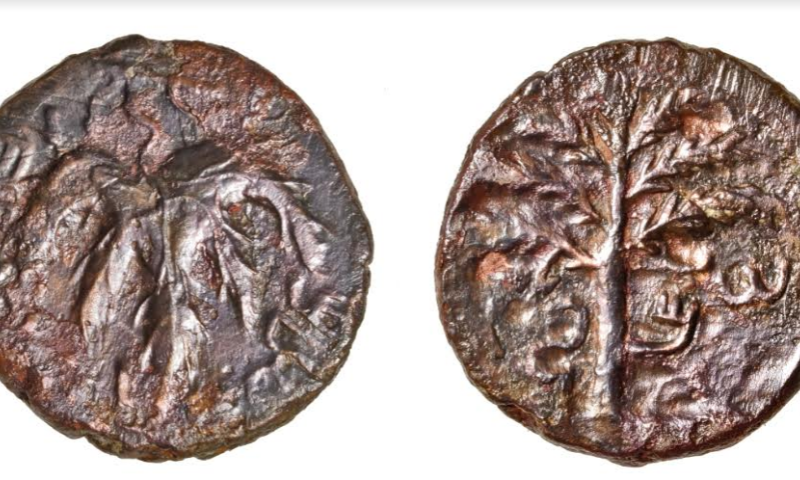 לכבוד ל"ג בעומר? נמצא מטבע ממרד בר כוכבא