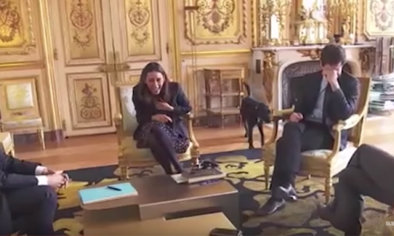 צפו: הכלב של הנשיא מקרון עושה פדיחות באמצע ישיבה