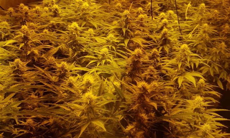 נתפסה מעבדת סמים בצפון השומרון