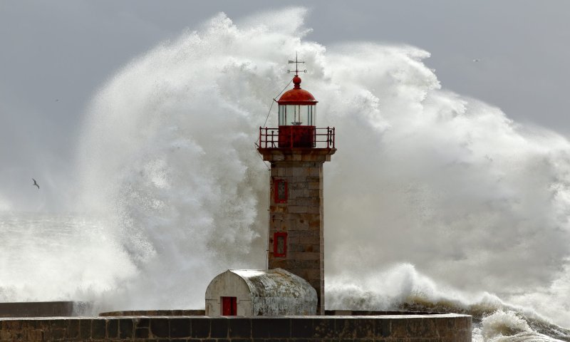 רעידת אדמה חזקה פגעה ביפן &ndash; אזהרת צונאמי