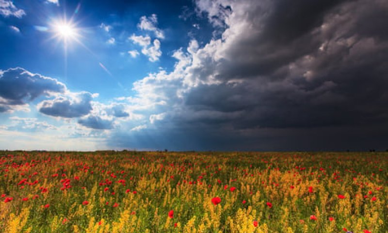 שבוע משוגע | חום; גשם ורעמים: תחזית מזג אוויר
