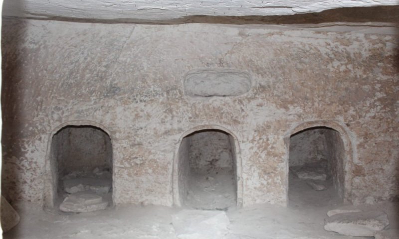 חרבת בורגין &ndash; מתחת לאדמה ופריחה משגעת