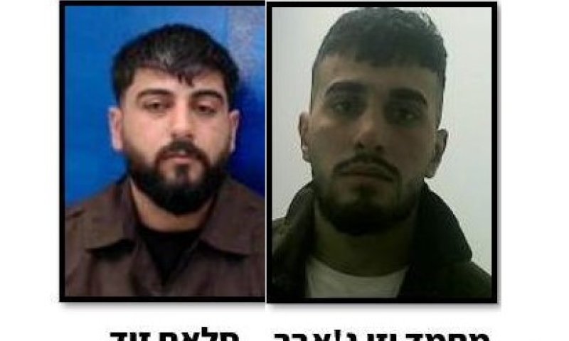 שב"כ חשף: חמאס הפעיל רשת בלדרות של טרור ביו"ש