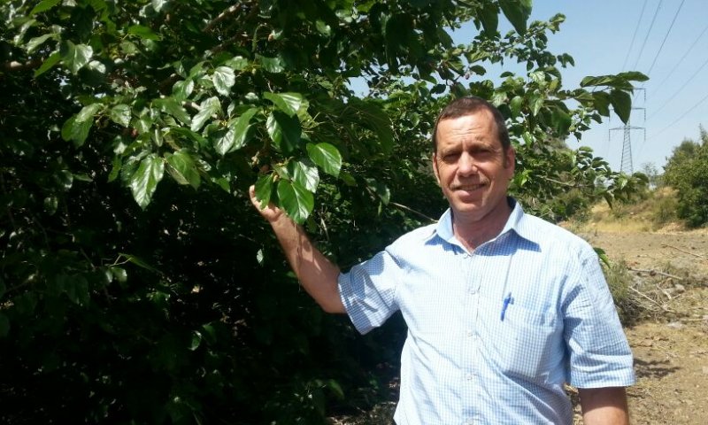 נהיה מוכנים לשמיטה, מי שאומר שלא &ndash; יתבדה