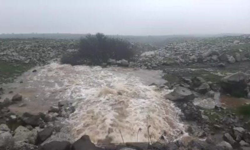 תיקון במדידה: זו העלייה האמיתית במפלס הכנרת