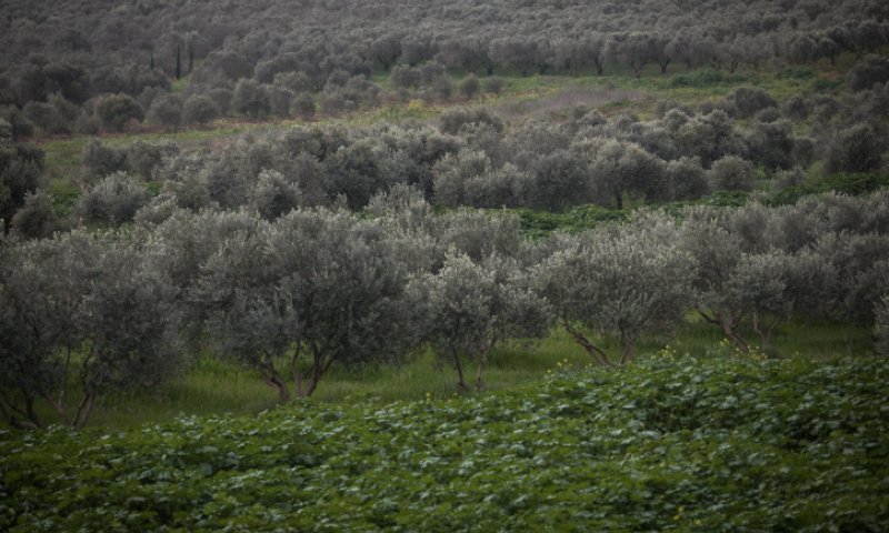 תחזית מזג האוויר לשבת ולראש השנה