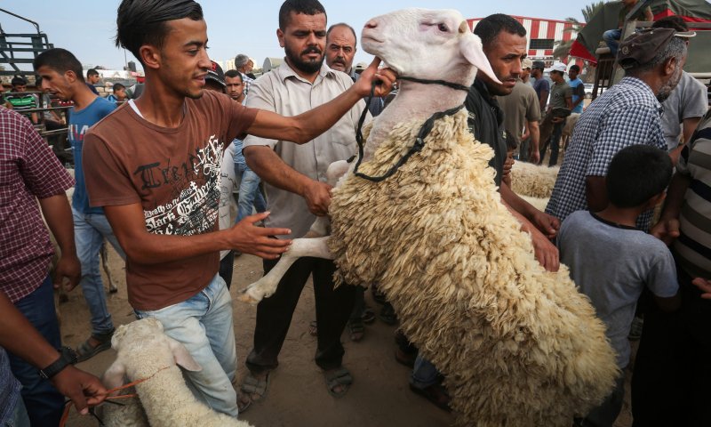 חג הקורבן עיד אלאדח'א: על מה ולמה חוגגים?