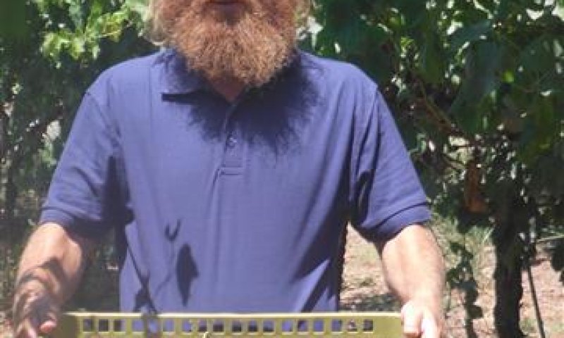 יאללה הביתה: בית המשפט הורה לשחרר את בעז אלברט