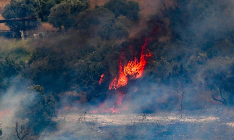 דיווח בלבנון: הרוג ו-11 פצועים בתקיפת כטב"ם בדרום המדינה