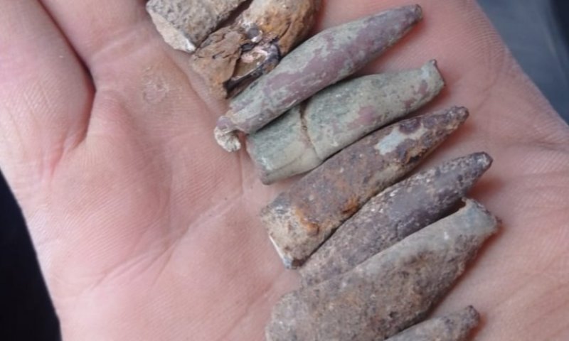 אחרי 75 שנים: נמצאו קליעים מתש"ח בגוש עציון