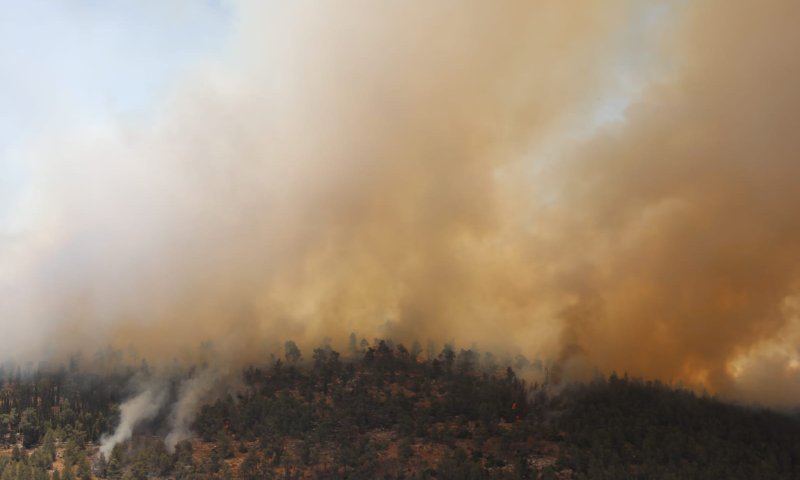 במקביל לשריפה בירושלים: מספר שריפות פרצו בשומרון