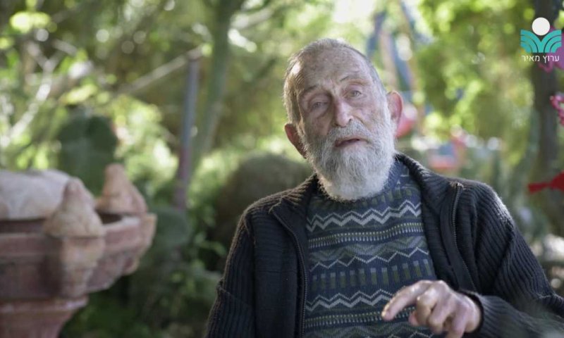 צפו: ניצול השואה הסרוג שמגדל עצים ייחודיים בביתו