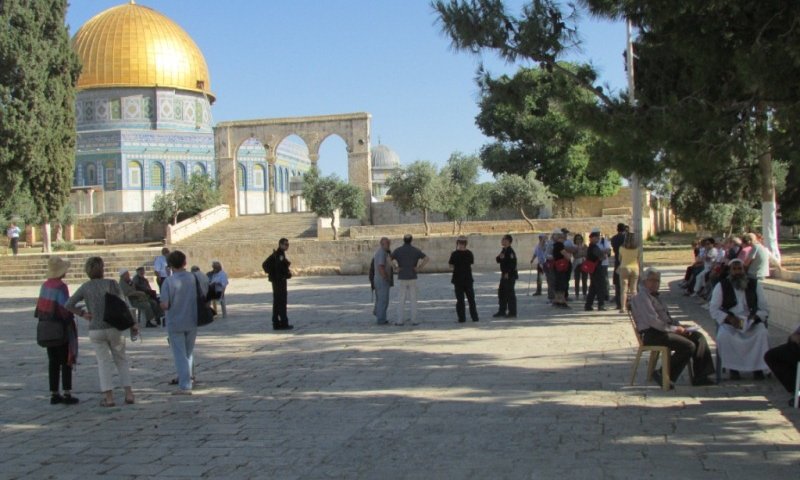 עליה המונית להר הבית, להזדהות עם פייגלין