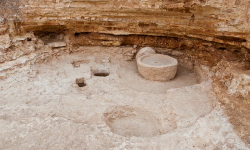 מערת בית בד עתיקה נמצאה בחצר של מכון לב