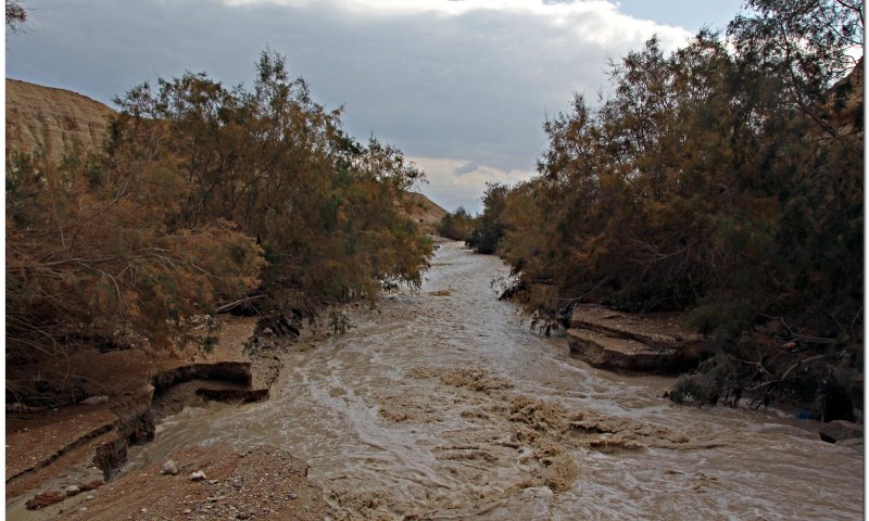 גשם יורד במדבר יהודה; חשש כבד לשיטפונות. צפו