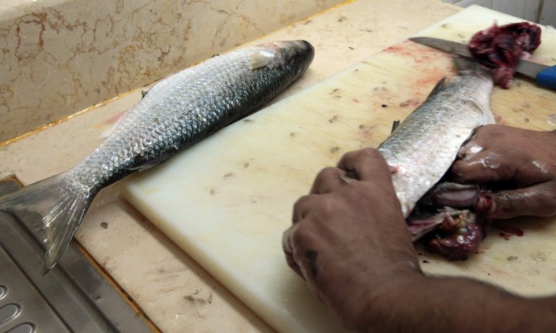 הרעלה? אכלו טונה במפעל ופונו לחדר מיון