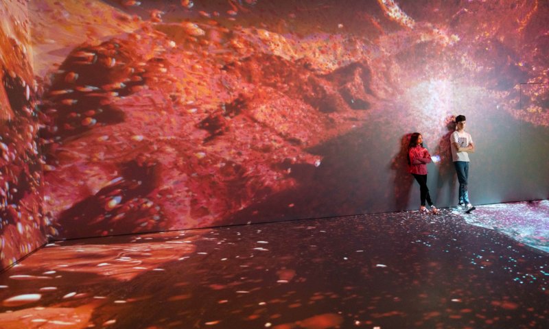 המלצות לקיץ 2025 בגליל המערבי וחיפה: חוויות בלתי נשכחות