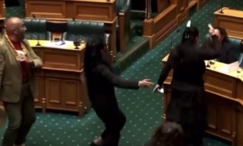 צפו: חברי פרלמנט בניו זילנד שיבשו הצבעה בריקוד מסורתי