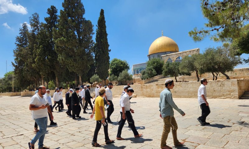 דרמה בארגוני העלייה להר הבית