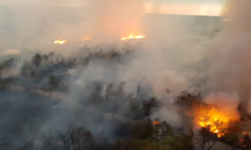 טרור ההצתות חזר? שריפת ענק השתוללה בים המלח