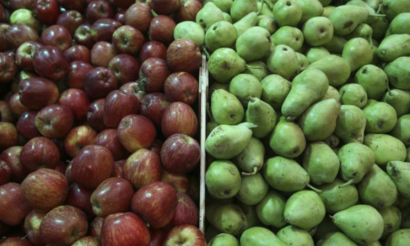 "ניתן להוזיל את מחירי הפירות והירקות בשמיטה"