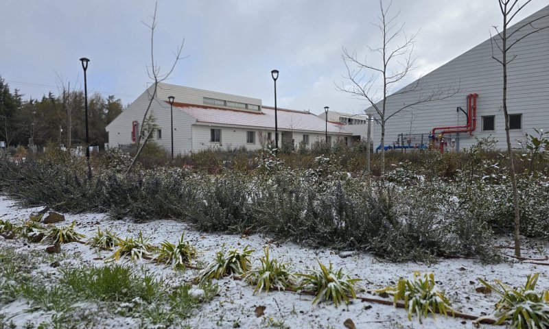 שלג נערם בקיבוץ אלרום בצפון רמת הגולן. צפו בפלא