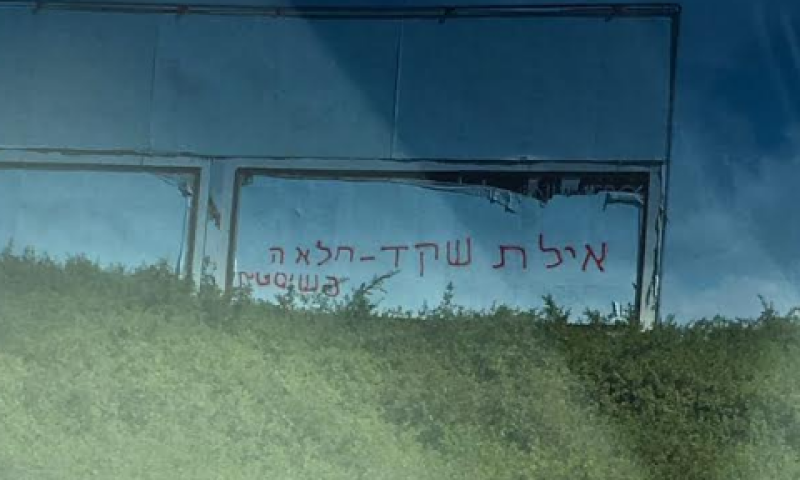 גרפיטי מסית נגד איילת שקד