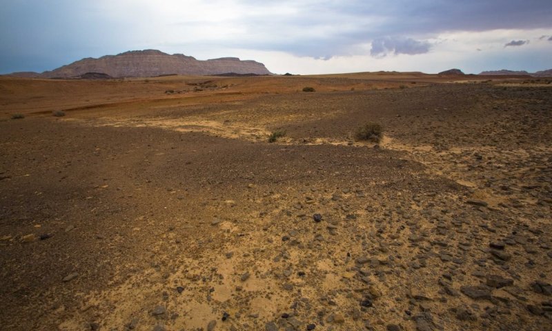 טרגדיה: צעירה נהרגה כשנפלה מגובה במצפה רמון