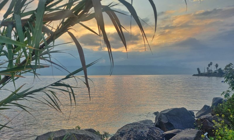 קצב מסחרר: מפלס הכנרת בעוד זינוק חד