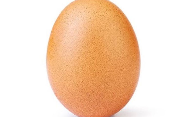 מטורף: זו הביצה שמשגעת את אינסטגרם