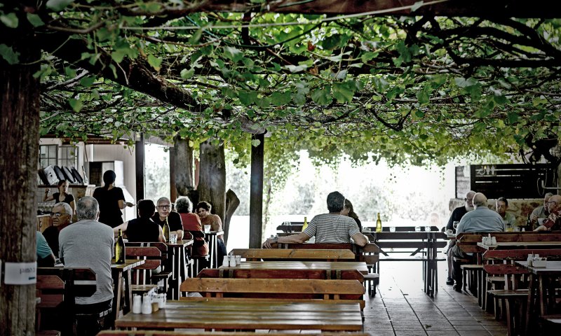 נכנס יין ויצאה ארוחה נהדרת| ביקורת מסעדות