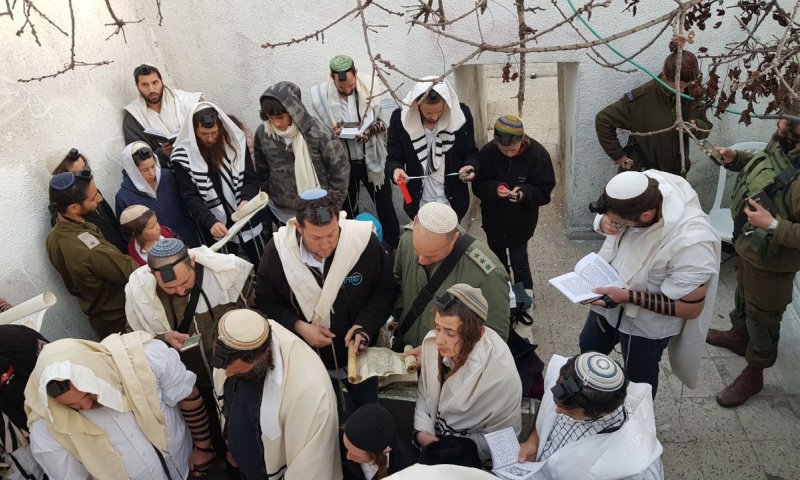 בקבר יהושע בן נון: עשרות קראו מגילת אסתר