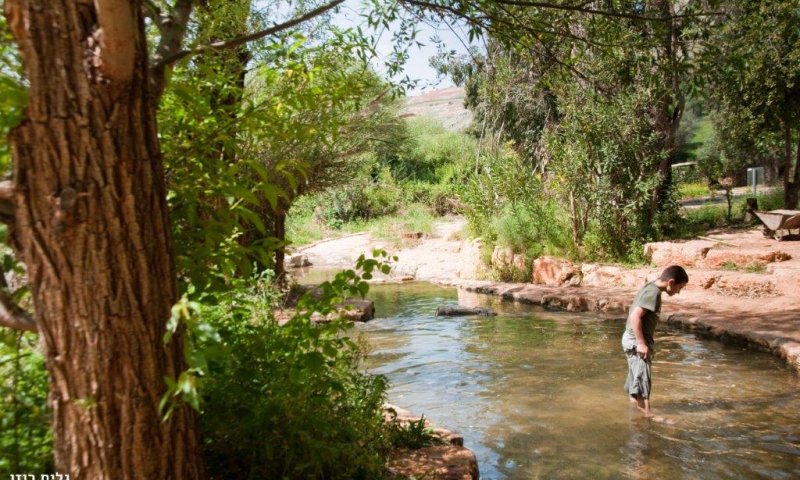 מדאיג: החורף הכי היבש בישראל ביותר מ-100 שנה