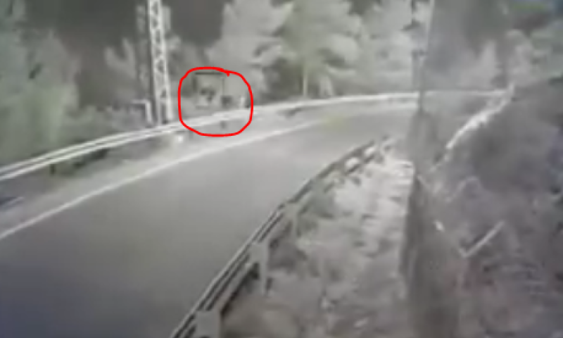 התיעוד מוכיח: השריפה בדולב- הצתה מכוונת; צפו