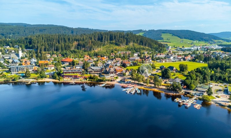 קצת יותר חשוב מהטיול היקר שלכם ל'יער השחור'