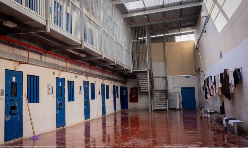 28 שנות מאסר לרוצח הסטודנטית מאיה גולוגובסקי ז"ל