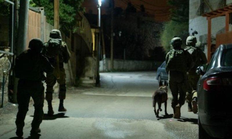 במהלך הלילה: 2 מחבלים חוסלו ביו"ש, 15 נעצרו