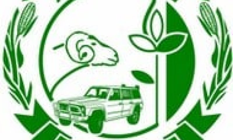 חצי טון בשר כשר שאינו ראוי למאכל אדם הושמד בביקורת על אטליזים בצפת