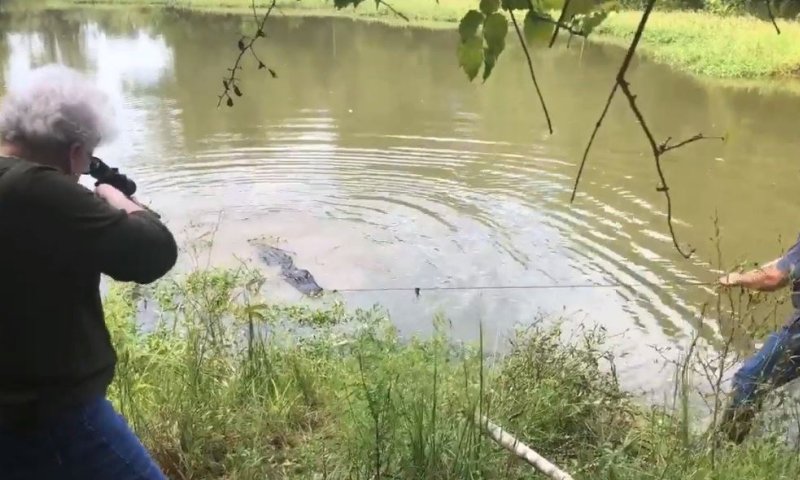 מבצע סבתא: אישה ירתה למוות בתנין שפלש לביתה