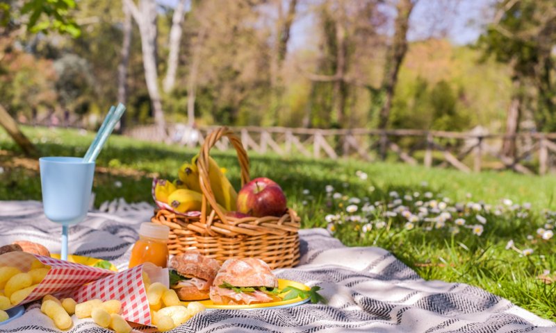 לבחור נכון: 15 מתכונים לפיקניק משפחתי בטבע