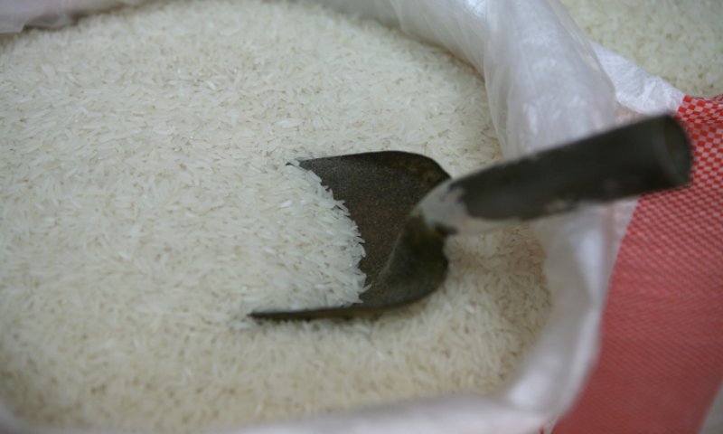 השייח' מעזה בסיפור חסידי: גרגר אורז אחד הוא המפתח לגן עדן