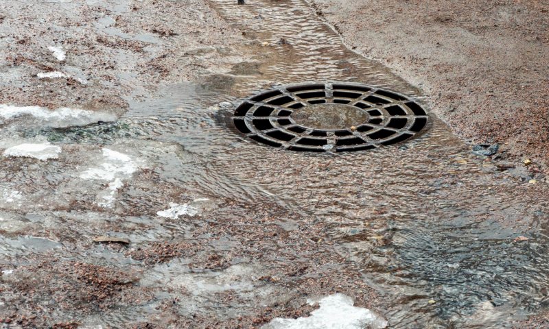 כל כמה זמן צריך לנקות את הביוב? ענק הביובית עם הפרטים