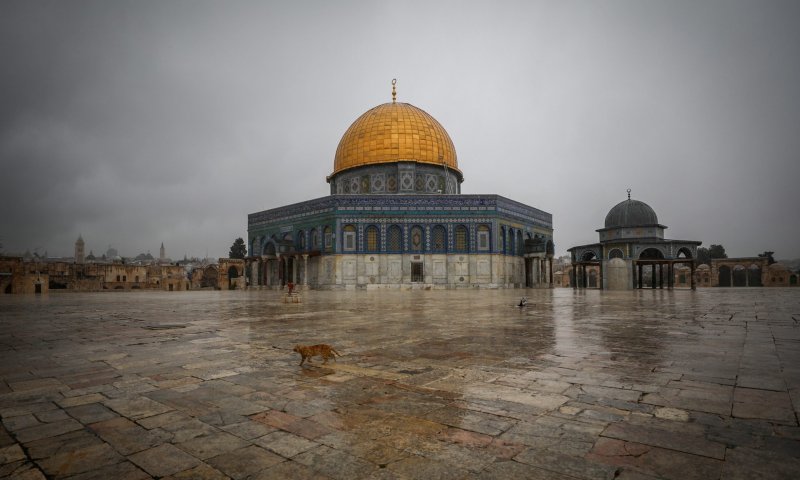 הדרשן נשא דברי הספד להנייה והורחק מהר הבית