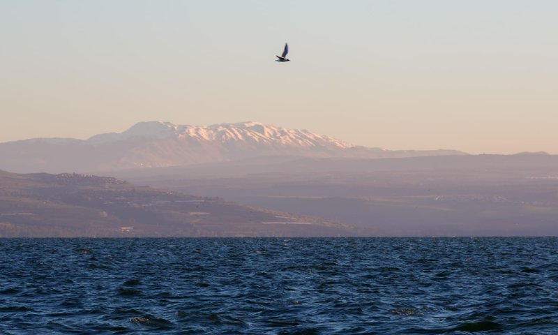 לאור הנחיות פיקוד העורף: חופי הכנרת ייפתחו מחדש